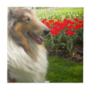 Collie N Tulips Tile Trivet Fliese