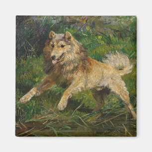 Collie nimmt einen Frosch von Hermine Biedermann a Magnet