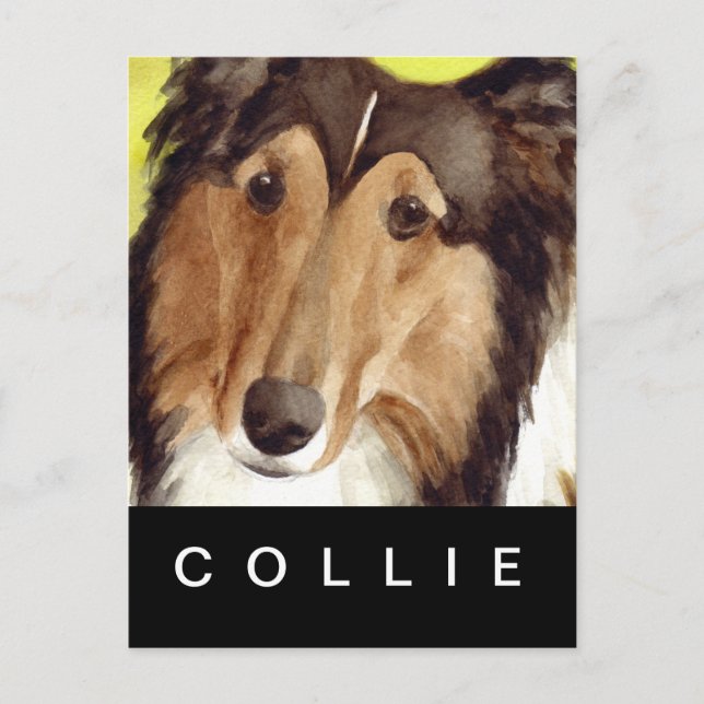 Collie Postkarte (Vorderseite)
