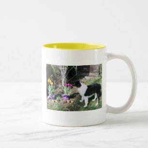 COLLIE PUP BRAUCHT ZEIT, UM DIE BLUME ZU SCHMELEN ZWEIFARBIGE TASSE