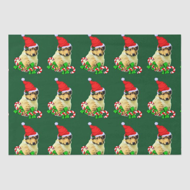 Collie Puppy Weihnachtsmannmütze Christmas Seidenpapier (Vorderseite)