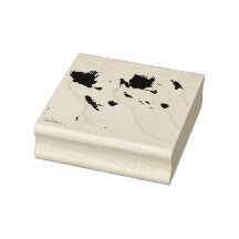 Collie Pups von Hevener