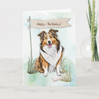 Collie Rasse Hund im Freien unter dem Geburtstagsz