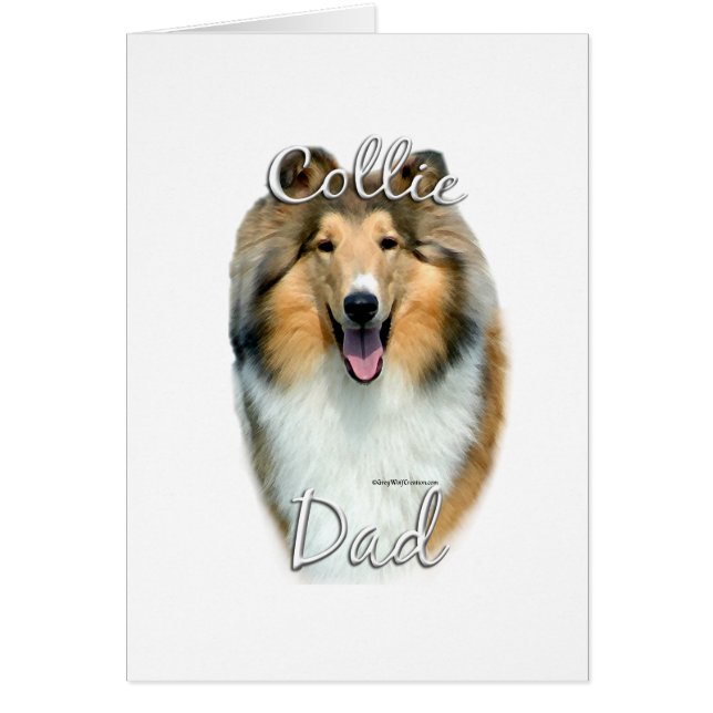 Collie (rau) Vater 2 (Vorne)