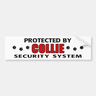 Collie Security Autoaufkleber