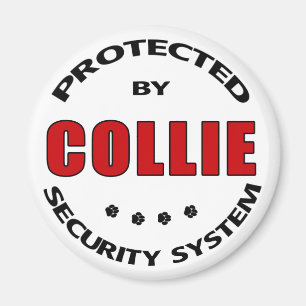 Collie Security Magnet