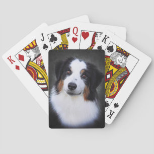 Collie Spielkarten