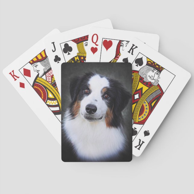 Collie Spielkarten (Rückseite)