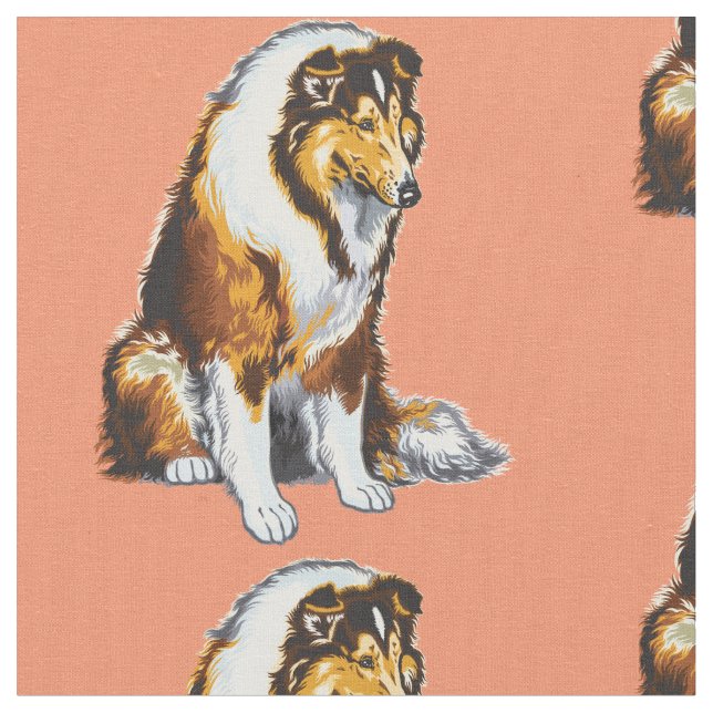 Collie Stoff (Nahaufnahme)