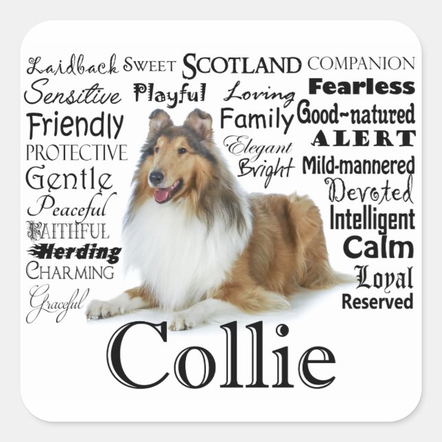 Collie Traits Stickers (Vorderseite)
