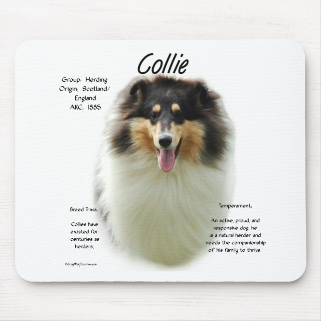 Collie (tri rau) History Design Mousepad (Vorne)