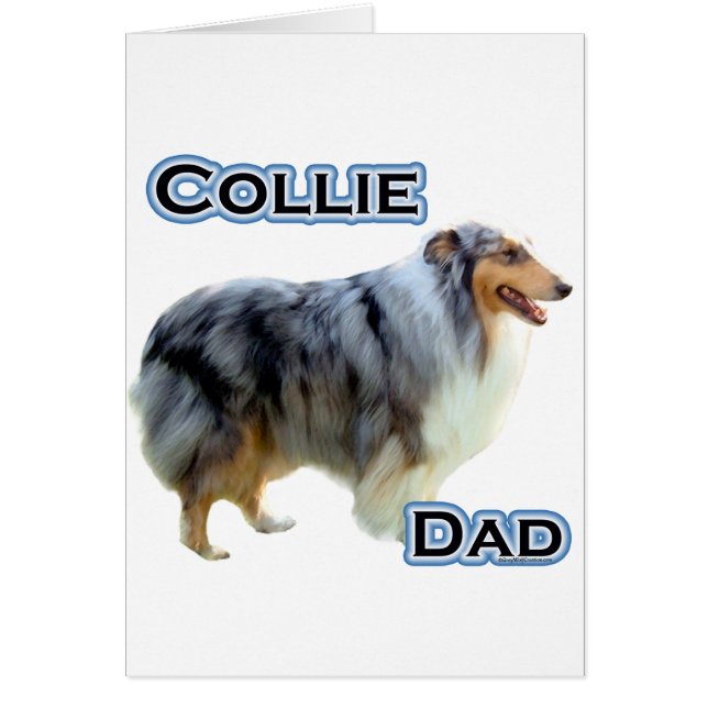 Collie Vater 4 (Vorne)