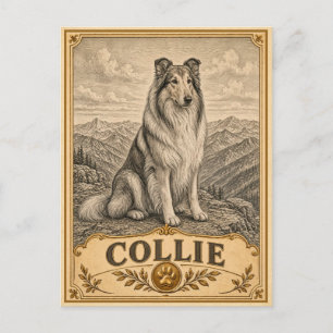 Collie, Vintage Heritage Hund Postkarte