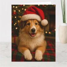 Collie-Weihnachtskarte