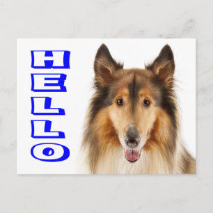 Collie-Welpen-Hund-Postkarte Postkarte