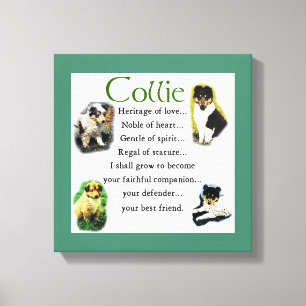 Collie Welppy Heritage of Liebe Leinwanddruck