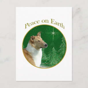 Collie Weltfrieden Postkarte