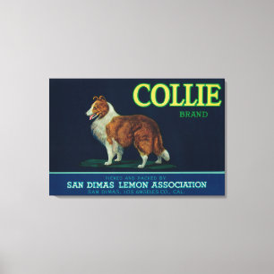 Collie-Zitrone LabelSan Dimas, CA Leinwanddruck