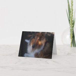 Collieanmerkungskarte Karte