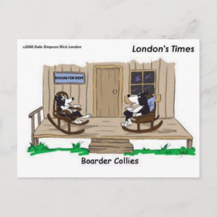 Colliese an den Grenzen: Funny Offbeat Cartoon Ges Postkarte