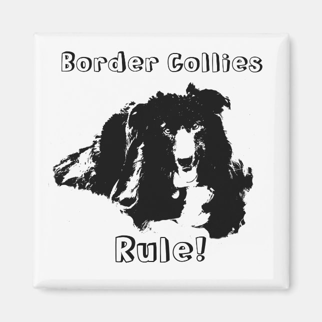 Colliese an den Grenzen Regel Funny Dog Magnet (Vorne)