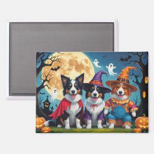 Colliese an der Grenze Hunde Pumpkin Halloween Fun Magnet