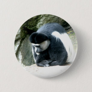 Colobus Button