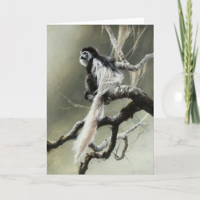 Colobus-leere Karte durch Andrew Denman (Vorderseite)