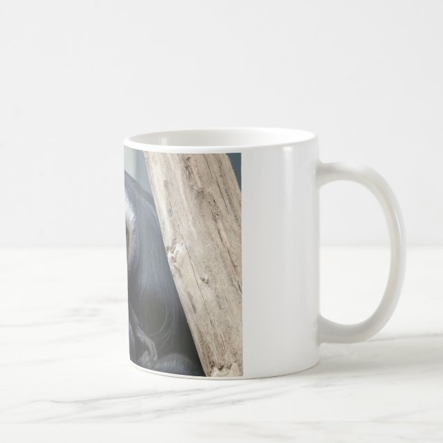 Colobus polykomos kaffeetasse (Rechts)