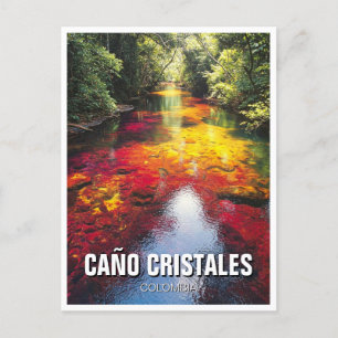 Colombia Cano Cristales Travel Postkarte