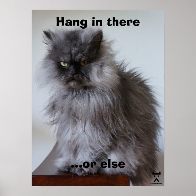 Colonel Meow hang dort hinein Poster (Vorne)