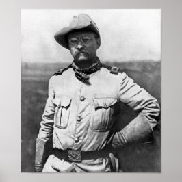 Colonel Theodore Roosevelt Poster