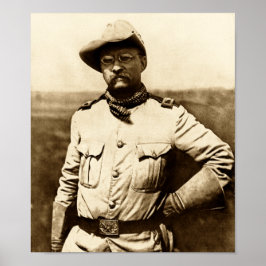 Colonel Theodore Roosevelt Poster
