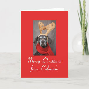 Coloorado Rentier Zeiger fröhliche Weihnachten