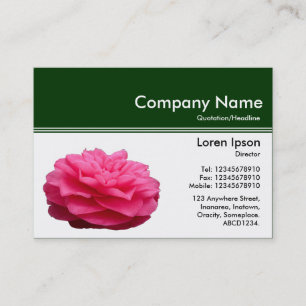 Color Header III v2 - Dunkelgrün - Rosa Kamelien Visitenkarte