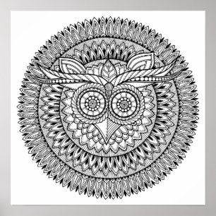 Color It Poster OWL