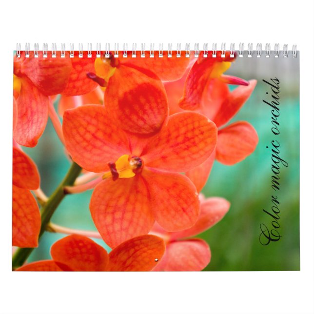 Color magic orchids kalender (Titelbild)