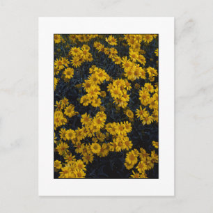 " Color Me Yellow " Postkarte