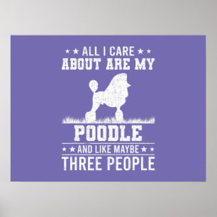 Color Pop Boxer Art Poster