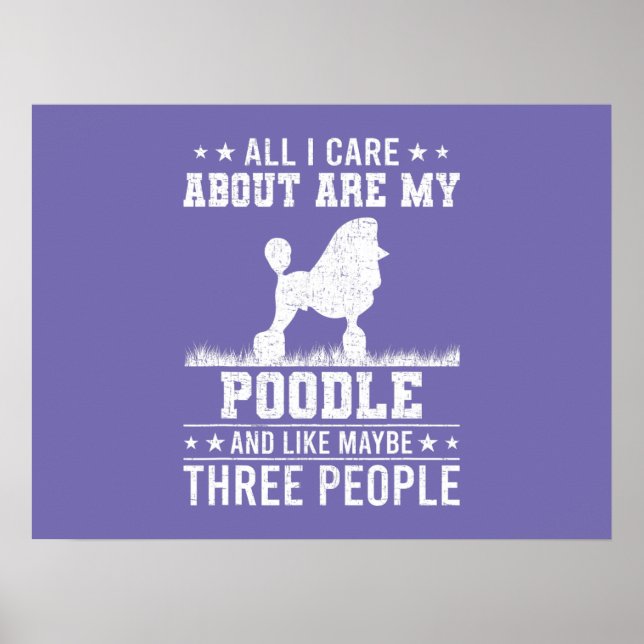 Color Pop Boxer Art Poster (Vorne)