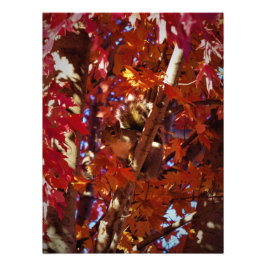 "Color-Splashed Critter" Fotodruck