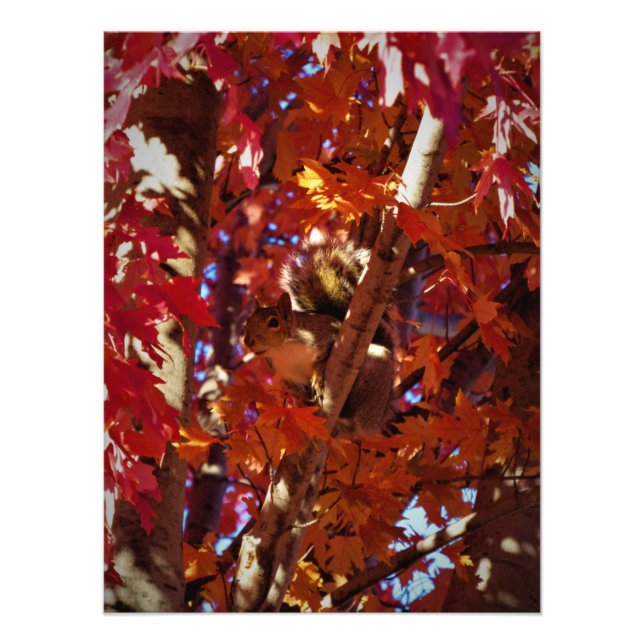 "Color-Splashed Critter" Fotodruck (Vorne)