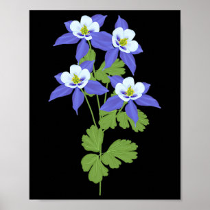 Colorado-Akelei-Blume-Wildblume-Natur-Wandern Poster