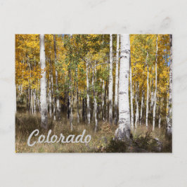 Colorado Aspen Grove im Herbst Postkarte