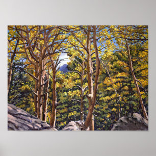 Colorado-Aspen im herrlichen Herbstglanz Poster