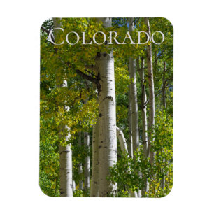 Colorado Aspens Designer Kühlschrankmagnet Magnet