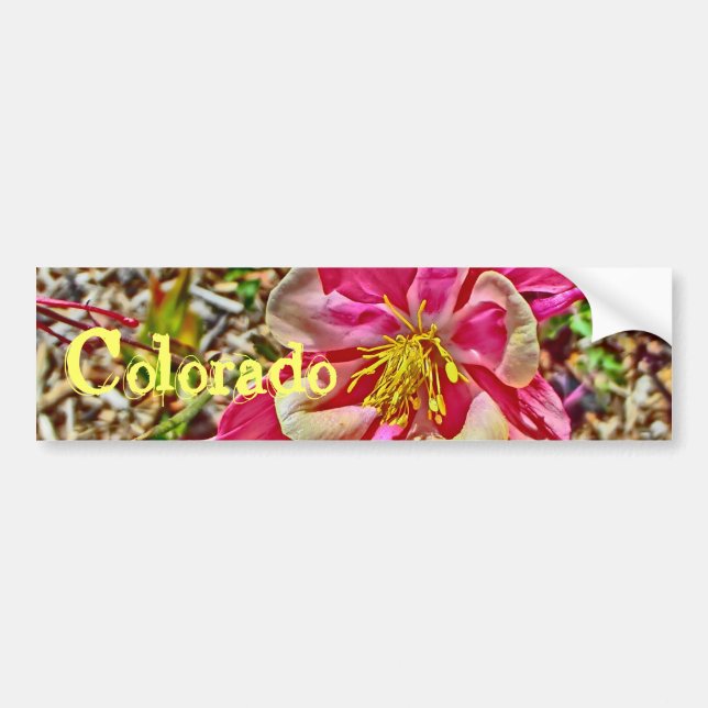 Colorado Autoaufkleber (Vorne)
