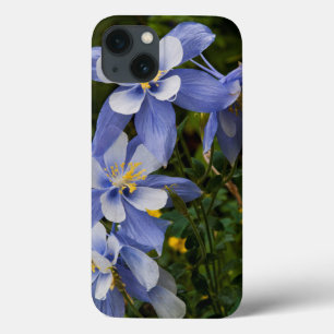 Colorado Blue Columbine near Telluride Colorado iPhone 13 Hülle