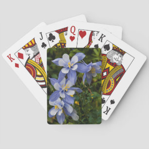 Colorado Blue Columbine near Telluride Colorado Spielkarten