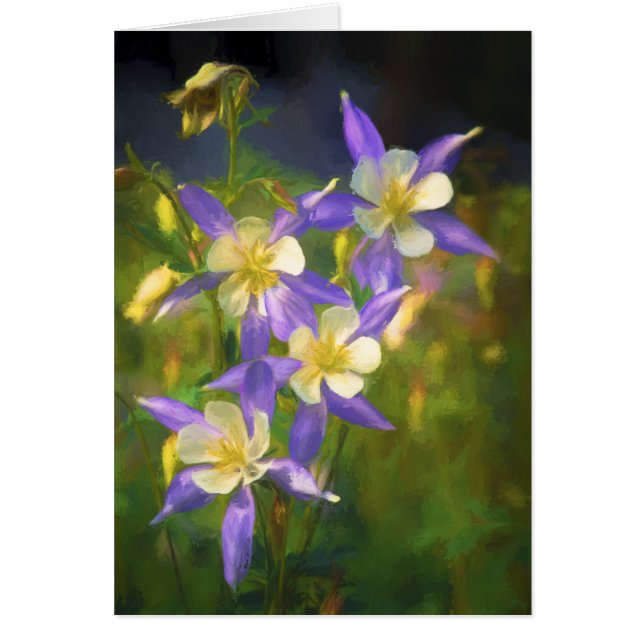 Colorado Blue Columbine Painting - Original Art (Vorne)